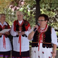 Zobacz w powiększeniu: Dożynki Gminne 2017 (28)
