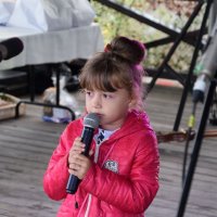 Zobacz w powiększeniu: Dożynki Gminne 2017 (40)