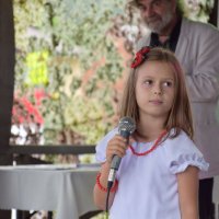 Zobacz w powiększeniu: Dożynki Gminne 2017 (44)