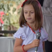 Zobacz w powiększeniu: Dożynki Gminne 2017 (45)