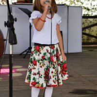 Zobacz w powiększeniu: Dożynki Gminne 2017 (46)