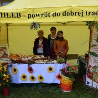 Zobacz w powiększeniu: Dożynki Gminne 2017 (47)