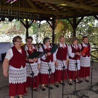 Zobacz w powiększeniu: Dożynki Gminne 2017 (48)