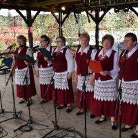 Zobacz w powiększeniu: Dożynki Gminne 2017 (49)