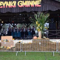 Zobacz w powiększeniu: Dożynki Gminne 2017 (51)