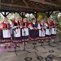 Zobacz w powiększeniu: Dożynki Gminne 2017 (52)