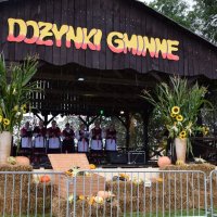 Zobacz w powiększeniu: Dożynki Gminne 2017 (53)
