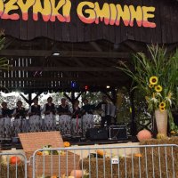 Zobacz w powiększeniu: Dożynki Gminne 2017 (54)