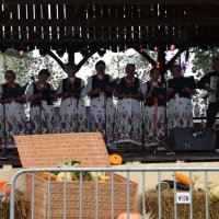 Zobacz w powiększeniu: Dożynki Gminne 2017 (55)