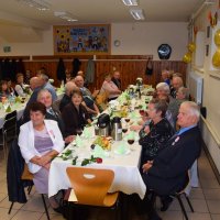 Zobacz w powiększeniu: Jubileusz 50-lecia pożycia małżeńskiego (47)