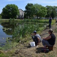 Zobacz w powiększeniu: Młodzieżowe Zawody Spławikowe 2017 (10)
