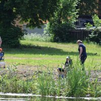 Zobacz w powiększeniu: Młodzieżowe Zawody Spławikowe 2017 (25)