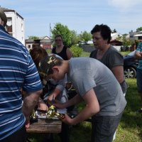 Zobacz w powiększeniu: Młodzieżowe Zawody Spławikowe 2017 (51)