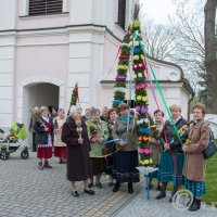 Zobacz w powiększeniu: Niedziela Palmowa 2017 (2)