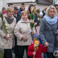 Zobacz w powiększeniu: Niedziela Palmowa 2017 (21)