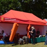 Zobacz w powiększeniu: I Piknik Militarny (1)