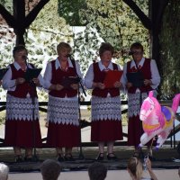 Zobacz w powiększeniu: I Piknik Militarny (33)