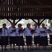 Zobacz w powiększeniu: I Piknik Militarny (41)