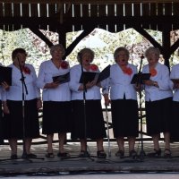 Zobacz w powiększeniu: I Piknik Militarny (43)