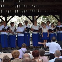 Zobacz w powiększeniu: I Piknik Militarny (61)