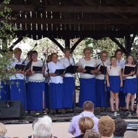Zobacz w powiększeniu: I Piknik Militarny (62)