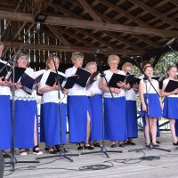 Zobacz w powiększeniu: I Piknik Militarny (64)