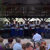 Zobacz w powiększeniu: I Piknik Militarny (66)
