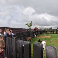 Zobacz w powiększeniu: Wakacje z GCK 2017 (42)