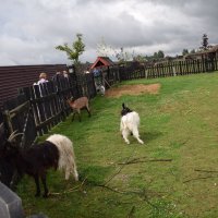 Zobacz w powiększeniu: Wakacje z GCK 2017 (43)