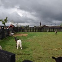 Zobacz w powiększeniu: Wakacje z GCK 2017 (44)