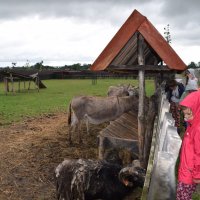 Zobacz w powiększeniu: Wakacje z GCK 2017 (47)