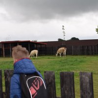 Zobacz w powiększeniu: Wakacje z GCK 2017 (48)