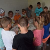 Zobacz w powiększeniu: Wakacje z GCK 2017 (15)