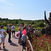 Zobacz w powiększeniu: Wakacje z GCK 2017 (18)