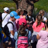 Zobacz w powiększeniu: Wakacje z GCK 2017 (19)