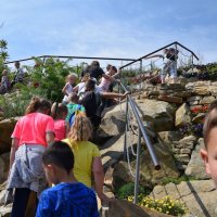 Zobacz w powiększeniu: Wakacje z GCK 2017 (26)