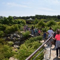 Zobacz w powiększeniu: Wakacje z GCK 2017 (27)