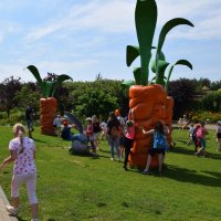 Zobacz w powiększeniu: Wakacje z GCK 2017 (28)