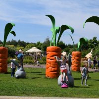 Zobacz w powiększeniu: Wakacje z GCK 2017 (29)