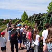 Zobacz w powiększeniu: Wakacje z GCK 2017 (30)