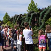 Zobacz w powiększeniu: Wakacje z GCK 2017 (31)