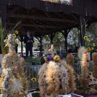 Zobacz w powiększeniu: Dożynki Gminne 2019 (9)