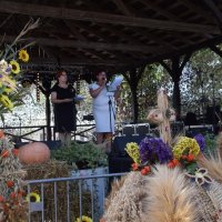 Zobacz w powiększeniu: Dożynki Gminne 2019 (13)