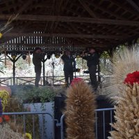 Zobacz w powiększeniu: Dożynki Gminne 2019 (20)