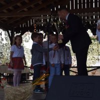 Zobacz w powiększeniu: Dożynki Gminne 2019 (32)