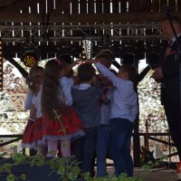 Zobacz w powiększeniu: Dożynki Gminne 2019 (33)