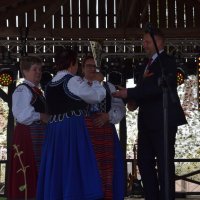 Zobacz w powiększeniu: Dożynki Gminne 2019 (34)