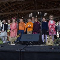 Zobacz w powiększeniu: Dożynki Gminne 2019 (39)