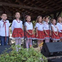 Zobacz w powiększeniu: Dożynki Gminne 2019 (41)