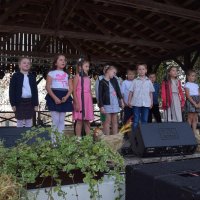Zobacz w powiększeniu: Dożynki Gminne 2019 (43)
